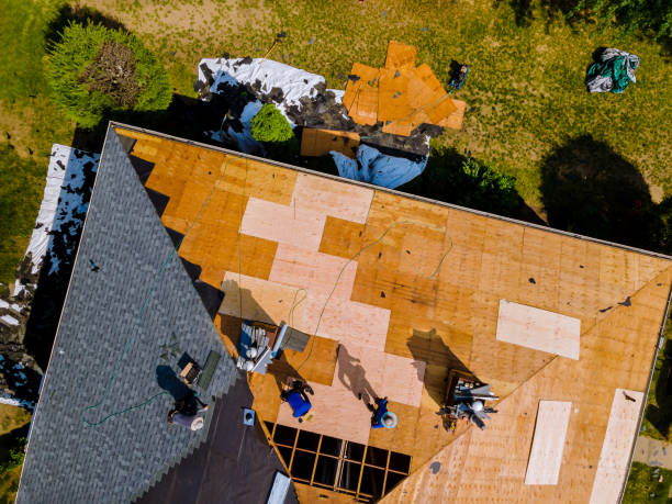 Best Roof Repair Services  in Chatmoss, VA