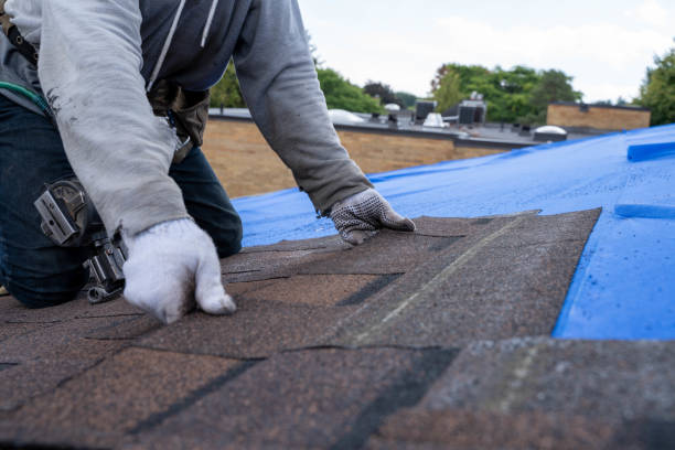 Best Commercial Roofing Services  in Chatmoss, VA
